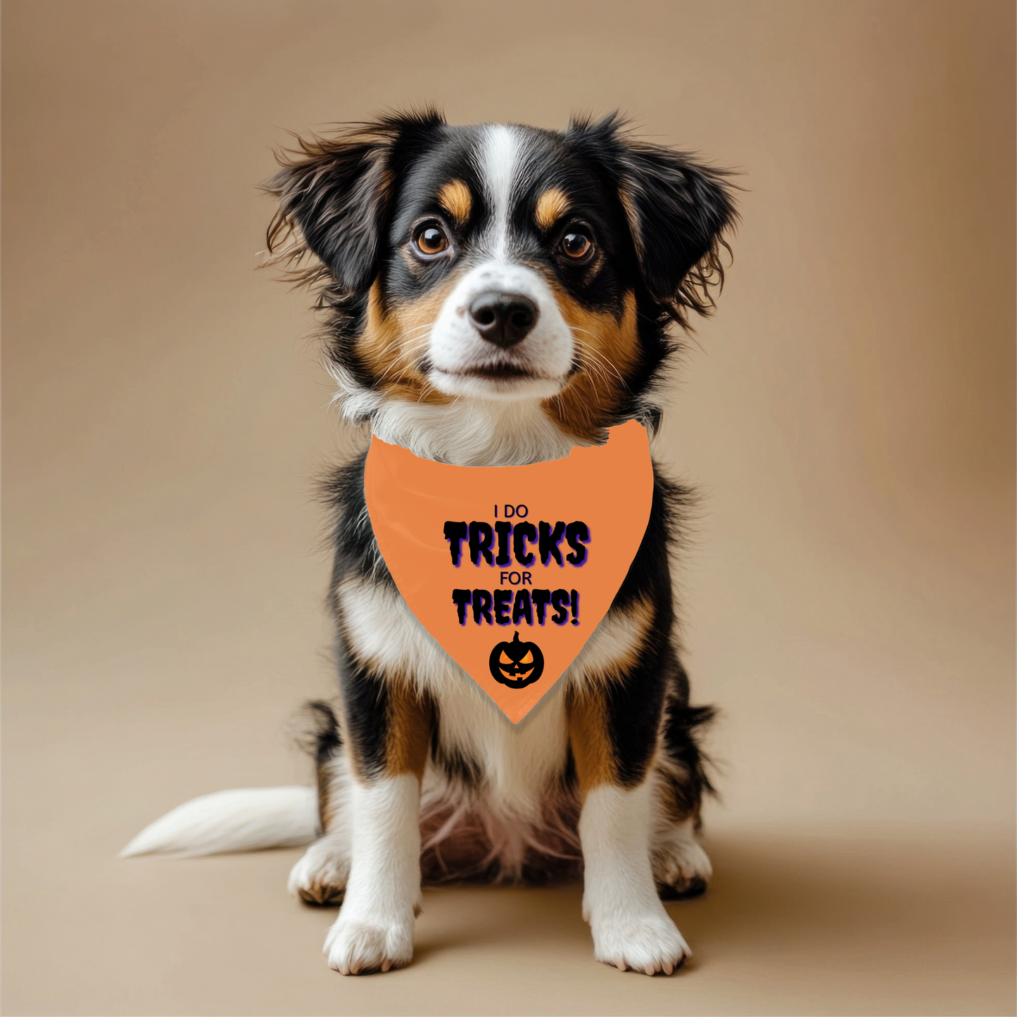Trick or Treat Pet Bandana